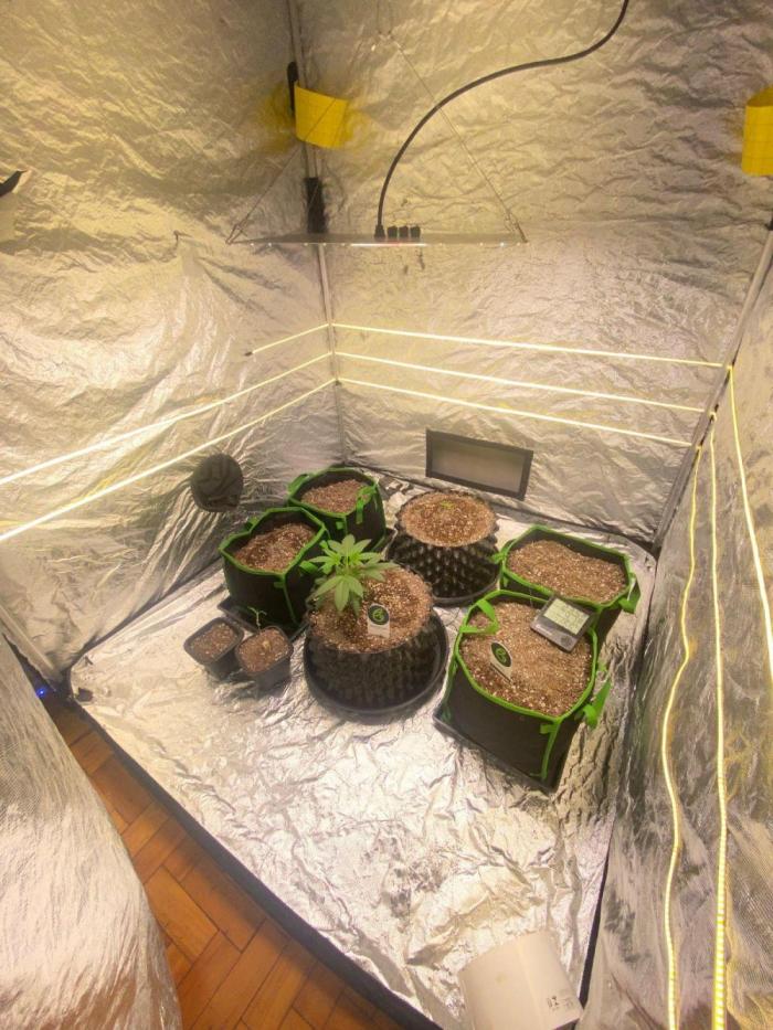 Meu primeiro Diário. Week 3 - Unica foto que tenho do começo 