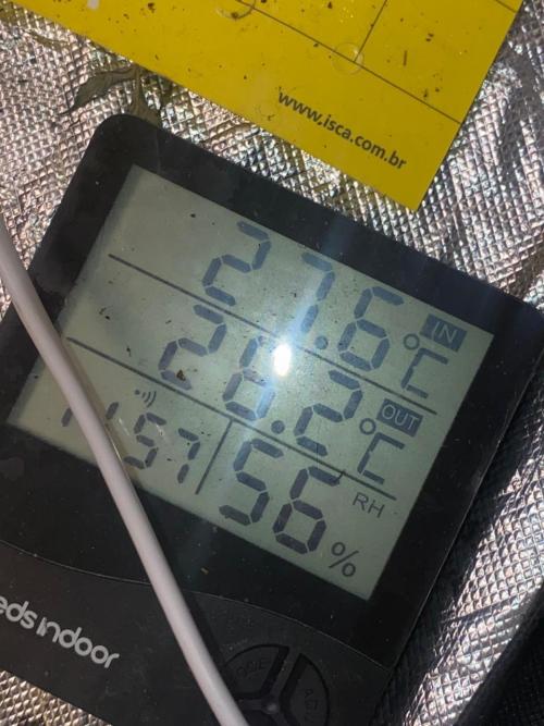 Meu primeiro Diário. Week 7