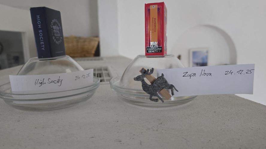 Compound Party. Week 0 - Merry X-Mas