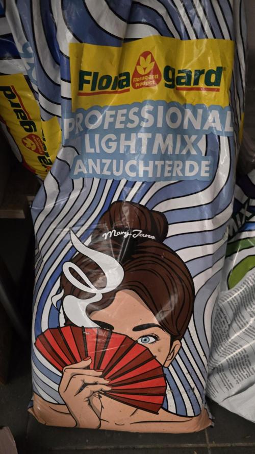 Compound Party. Week 0