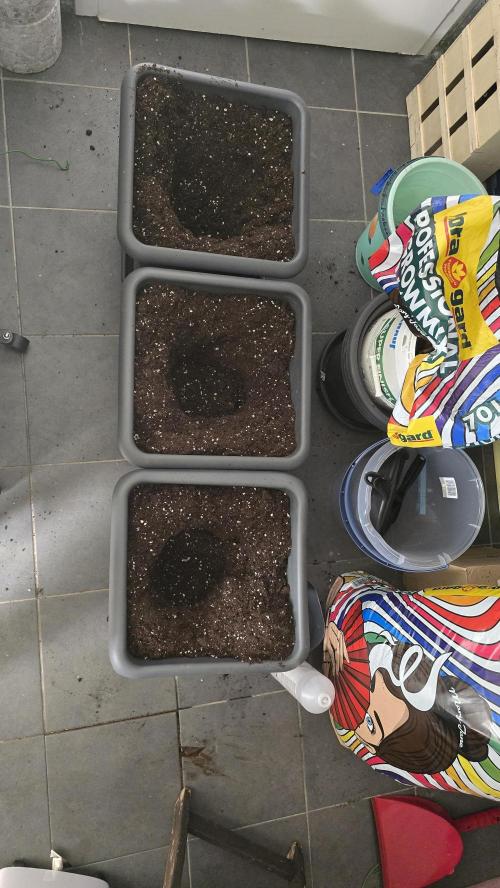 Compound Party. Week 6