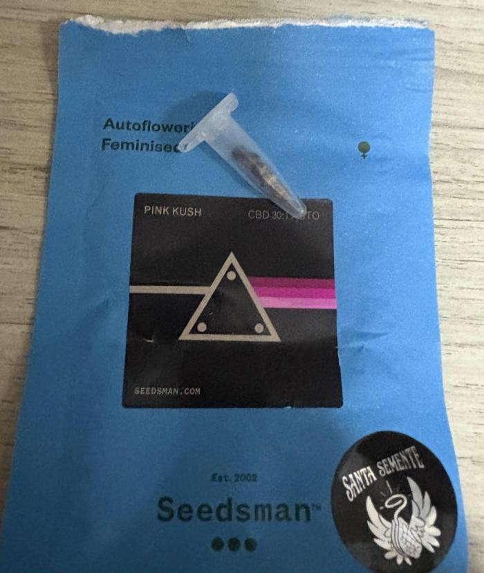 Pink Kush. Week 0 - 5 seeds