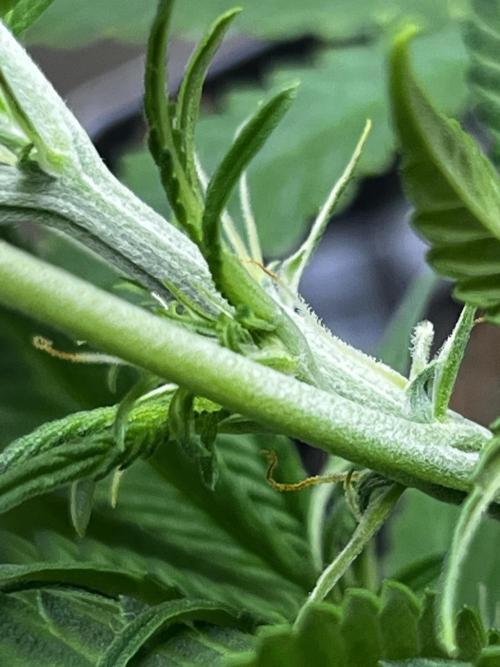 Back 2 The Future. Week 5