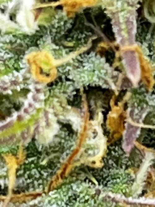 Back 2 The Future. Week 10