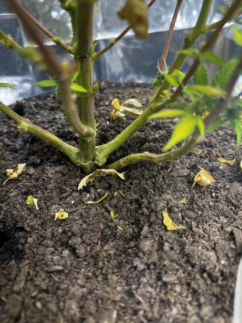 Back 2 The Future. Week 10