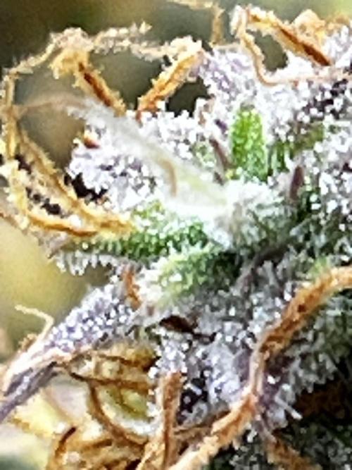 Back 2 The Future. Week 10