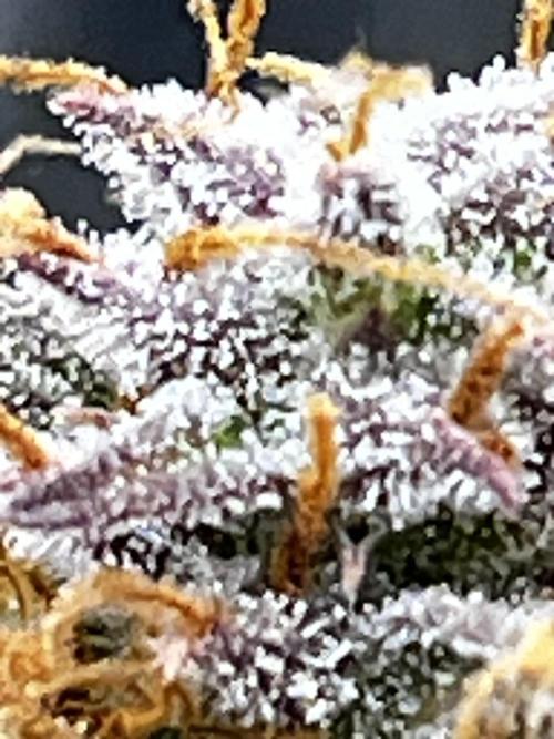 Back 2 The Future. Week 12