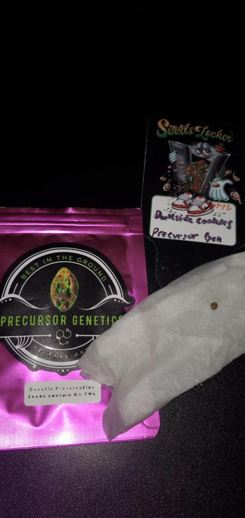 Blue Bourbon, Darkside Cookies & Nebula. Week 0 - Darkside Cookies seed