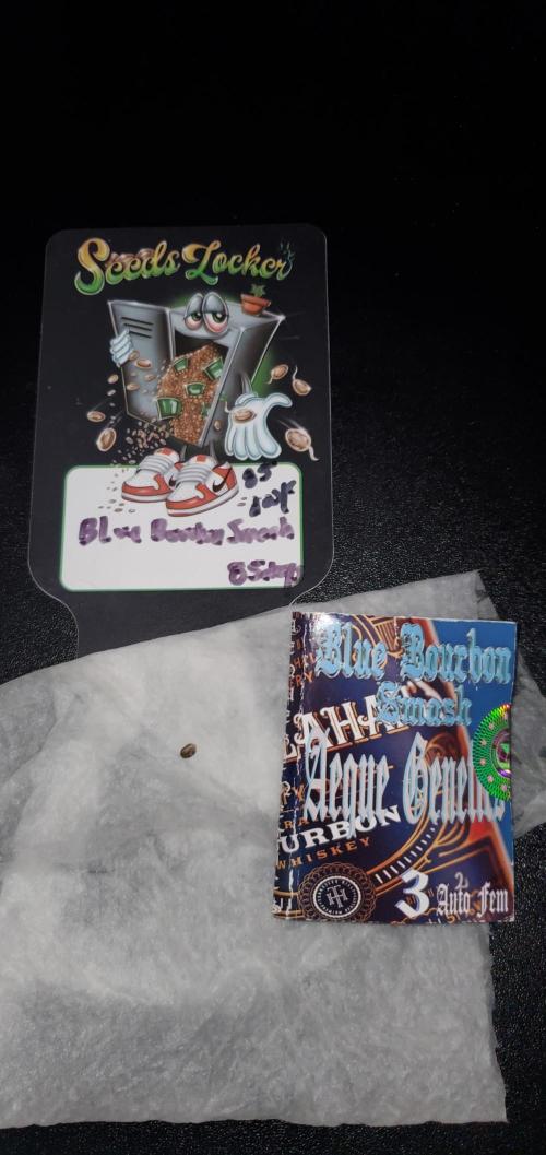 Blue Bourbon, Darkside Cookies & Nebula. Week 0 - Blue Bourbon Smash seed