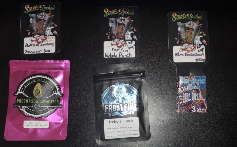 Blue Bourbon, Darkside Cookies & Nebula. Week 0 - - Darkside Cookies
- Nebula Punch
-Blue Bourbon Smash 