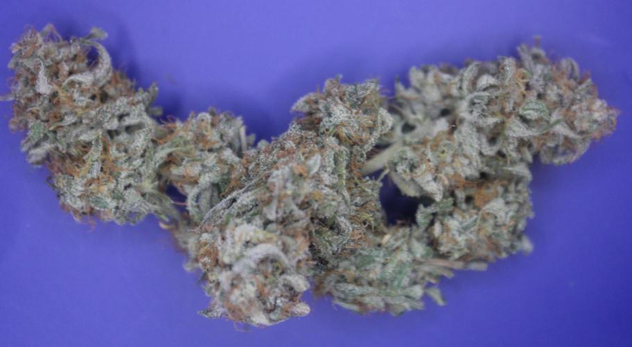 Nebula Punch Auto FrostFireSeeds. Week 10 - Sticky n Fragrant