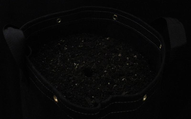 Eternity Cup 26 - Sticky Broccoli (Hunt). Week 0 - Home!