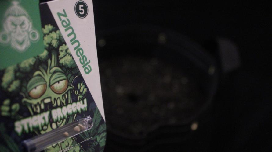 Eternity Cup 26 - Sticky Broccoli (Hunt). Week 0 - On the way to forever  home!