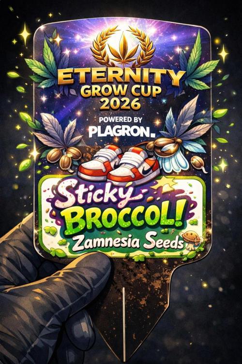 Eternity Cup 26 - Sticky Broccoli (Hunt). Week 0 - Eternity Grow Cup 26'
Powered by PLAGRON

Sticky Broccoli 

Thanks to Zamnesia 