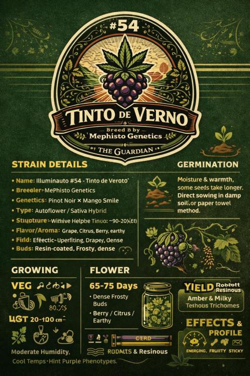 Tinto de Verano #54. Week 0 - Tinto de Verano

Cultivar Info