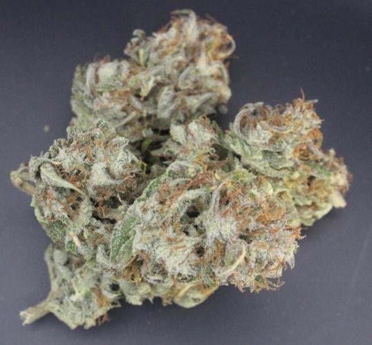 Darkside Cookies Auto Precursor Genetics. Week 12 - Darkside Cookies