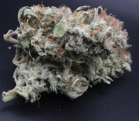 Darkside Cookies Auto Precursor Genetics. Week 12 - Darkside Cookies