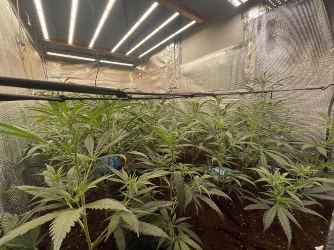 zamnesia. Week 5 - Día 13 
Comenzamos oficialmente el primer día 
De la 3 semana 🌺
