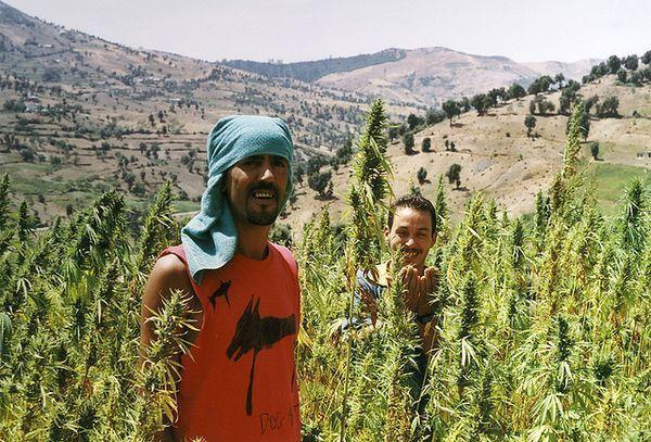 zamnesia. Week 6 - 🇲🇦/🇪🇸