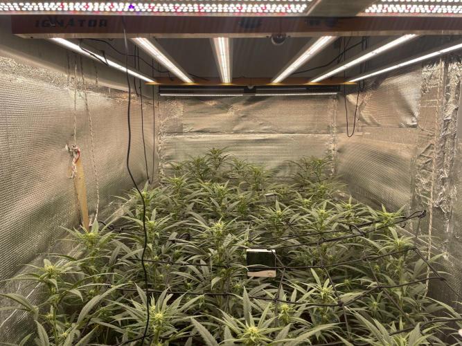 zamnesia. Week 6 - Día 21
Desde la puerta hacia el final