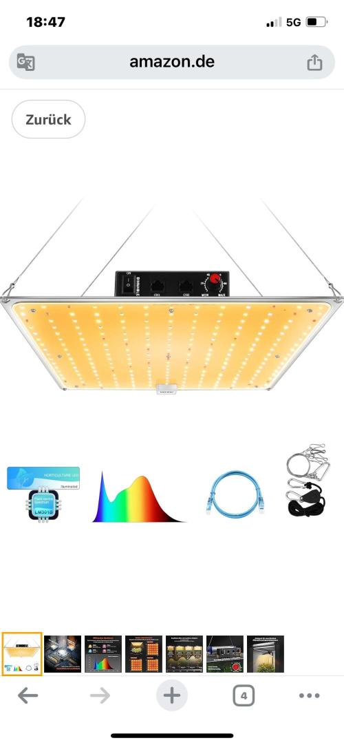 amnesia haze selección. Week 9