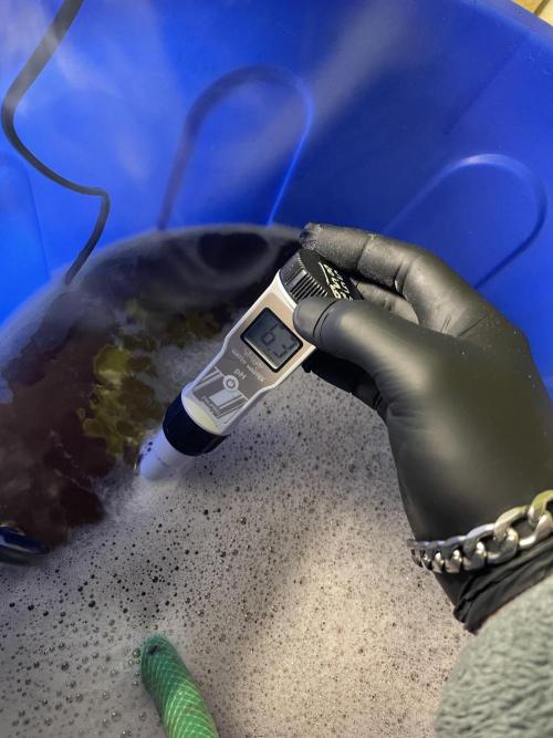 2 round amnesia haze selección. Week 0