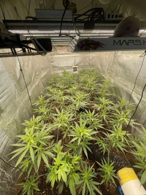 SP3000 300W LED. Week 9