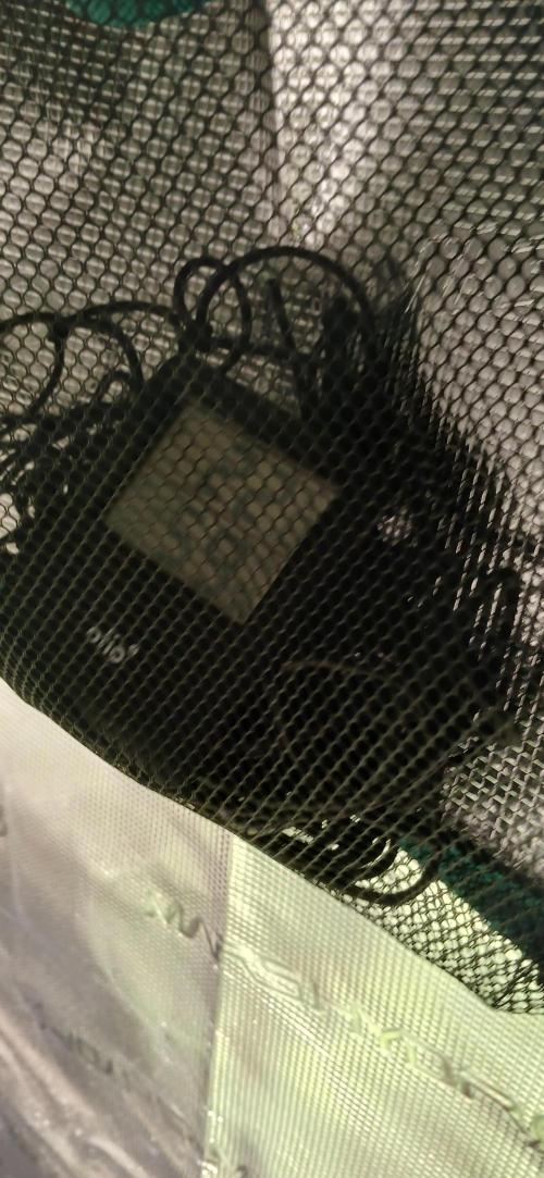 Banana Purple /GorillaZ/West Coast OG. Week 4