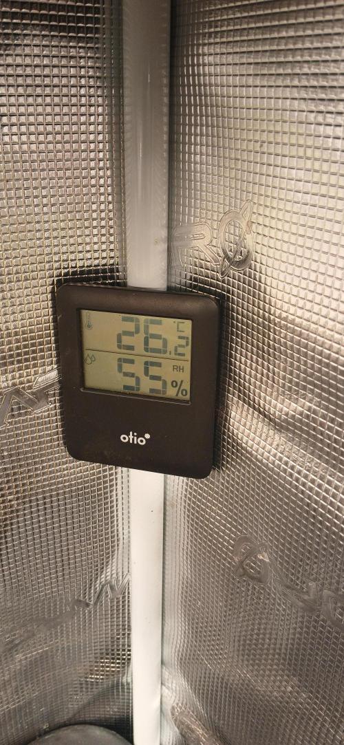 Fast Bud mix auto. Week 1