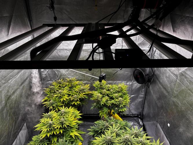 Anesia ;). Week 10 - Uz je doma ;) 