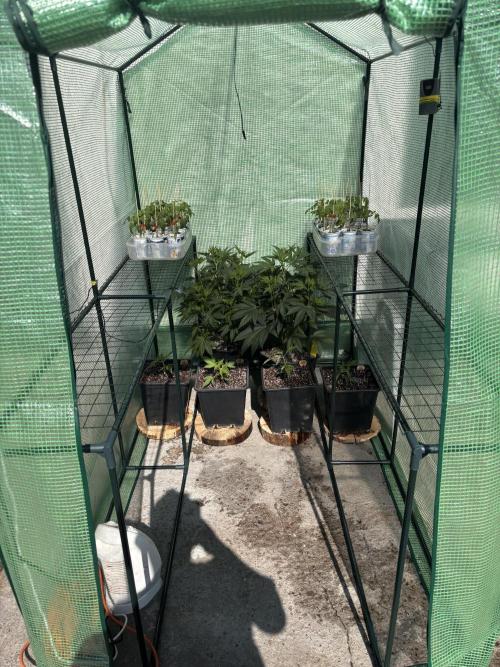 Outdoor. Week 3
