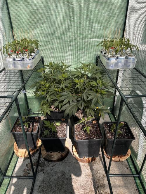 Outdoor. Week 3