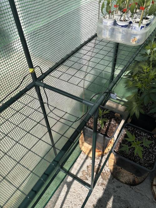 Outdoor. Week 3