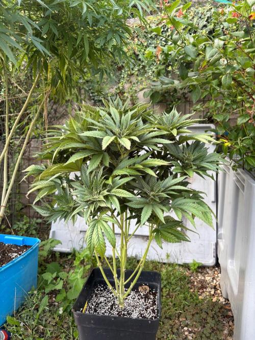 Outdoor. Week 13 - Bonbony vyhozena ven