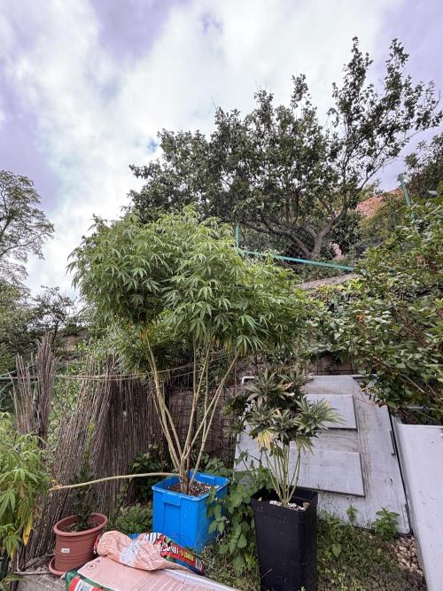 Outdoor. Week 5