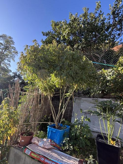 Outdoor. Week 6