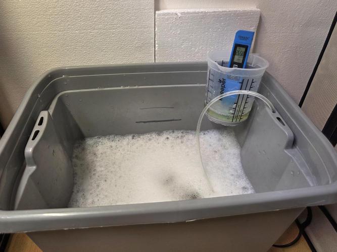 SBC #26 Super Buff Cherry. Week 11 - Dünger anmischen