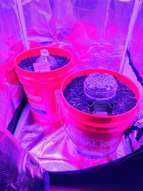 xxm0stw4nt3d. Week 0 - Inside the tent