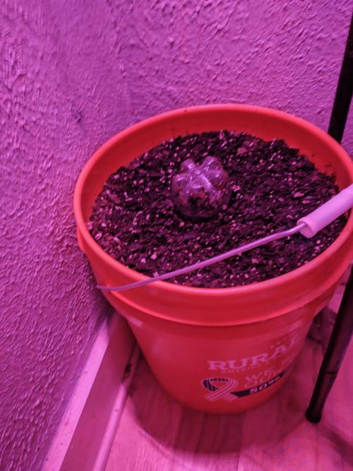 xxm0stw4nt3d. Week 0 - Outside the tent