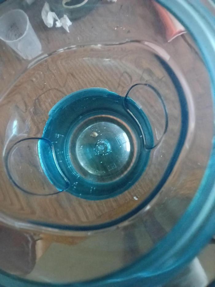 Gorilla Glue found in a bag. Week 0 - Seed Just popped its tap root. I will give it a little more time before I plant 