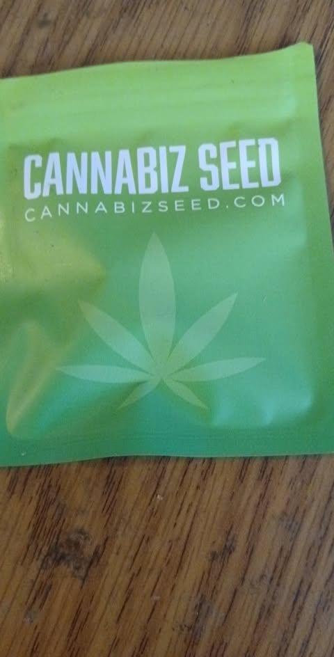 Cannabiz Gorilla glue auto - Pot 2. Week 0