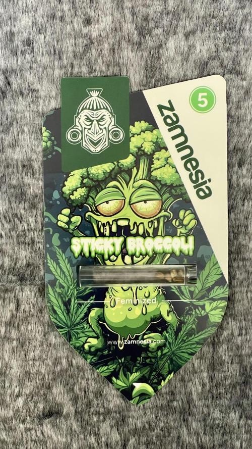 Eternity Grow Cup 2026 - Sticky Broccoli. Week 0