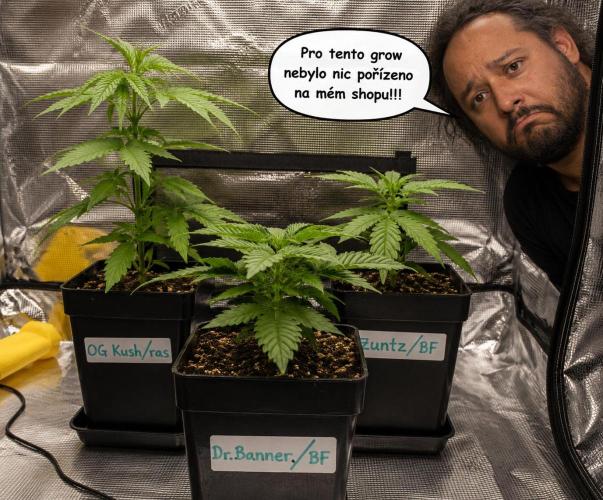 BruBaRunOG Kush/Round II. Week 3
