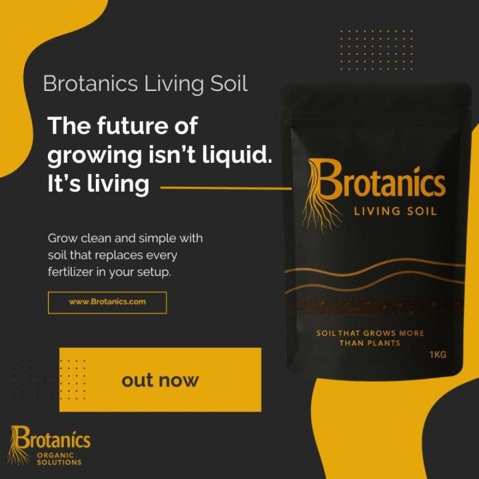 Brotanics Living Soil x GG4 Sherbet. Week 6