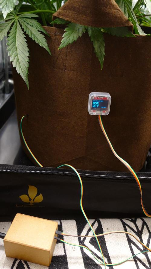 dream grow. Week 5 - arduino soil moist. sensor