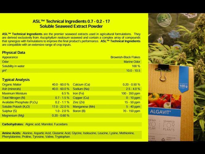dream grow. Week 9 - Algavit - Kelp extract ´- high Potassium, high PH!