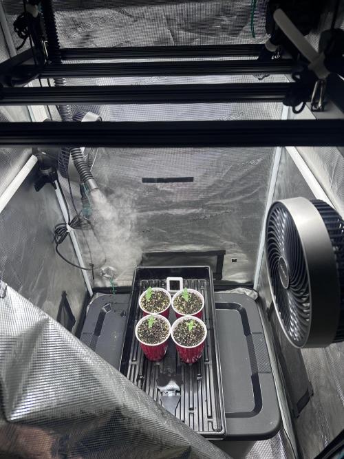 Mars Spice 20/20. Week 8