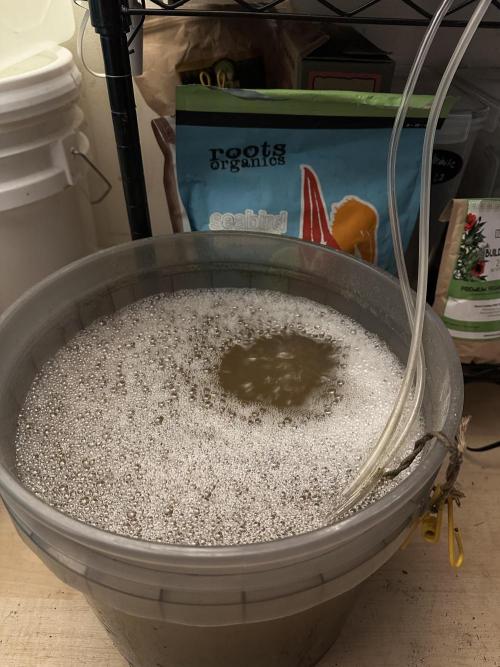 The Spice Twenty20 Mars-GD. Week 11