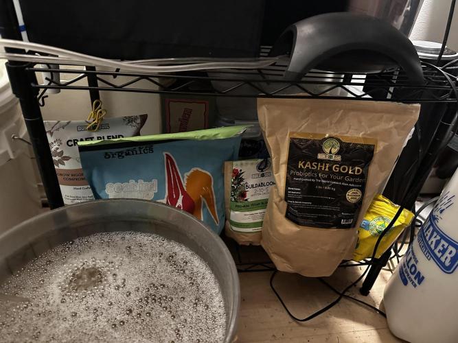 The Spice Twenty20 Mars-GD. Week 11