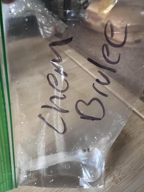 Runtz and Chem Brulee by Zamnesia. Week 0